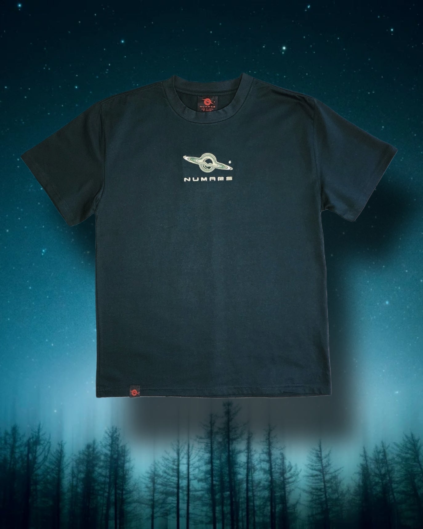 Heavyweight Relaxed Tee (Forest Green)