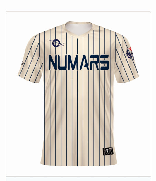 NuMars V-Neck Pinstripe Jersey (No Name #21)